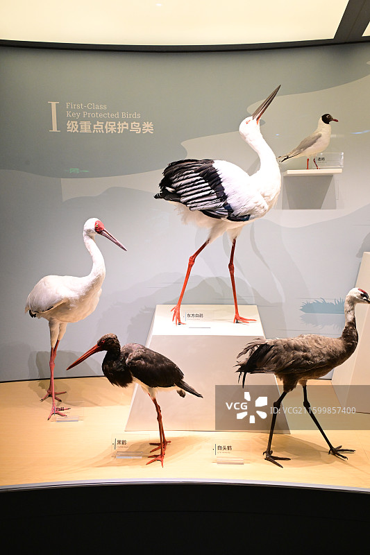 江西省博物馆图片素材