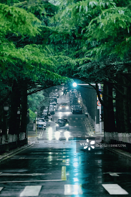 意境 宁静 街道 垂直 延伸 幽静 清幽 治愈 街巷图片素材