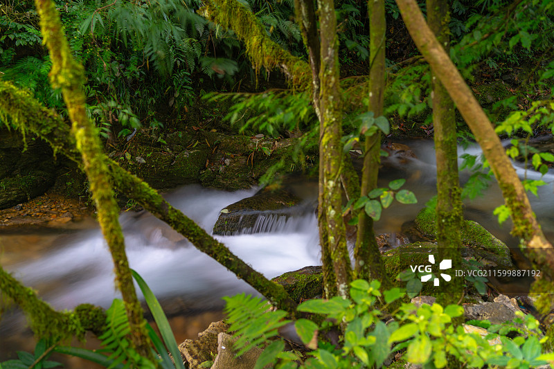 云南昭通镇雄县杉木沟景区图片素材