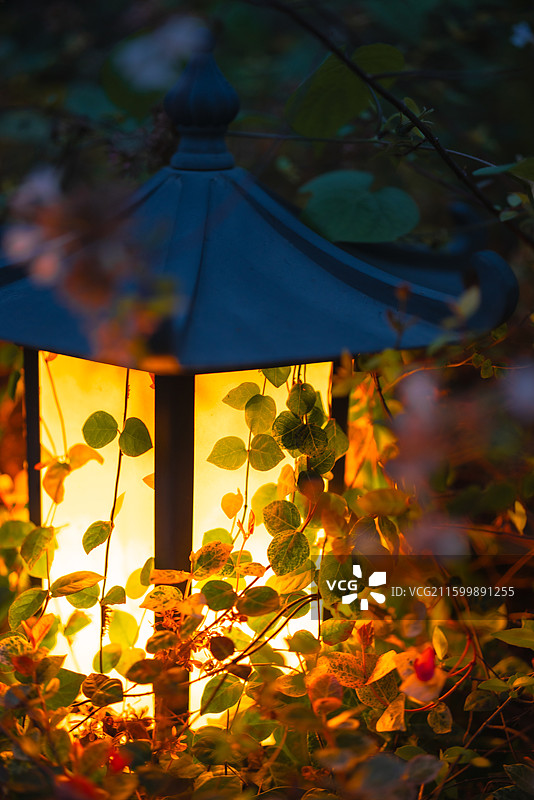 夜晚花园里的地灯图片素材
