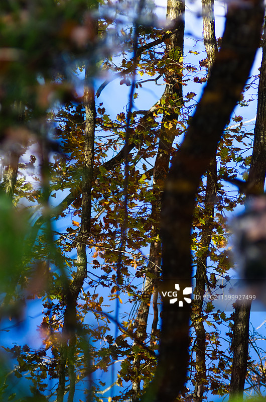 水面倒影图片素材