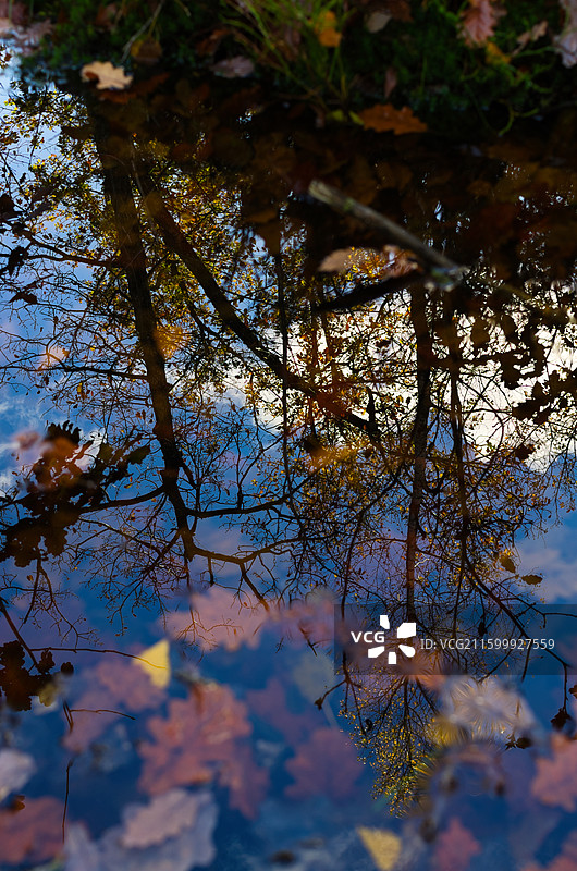 水面倒影图片素材