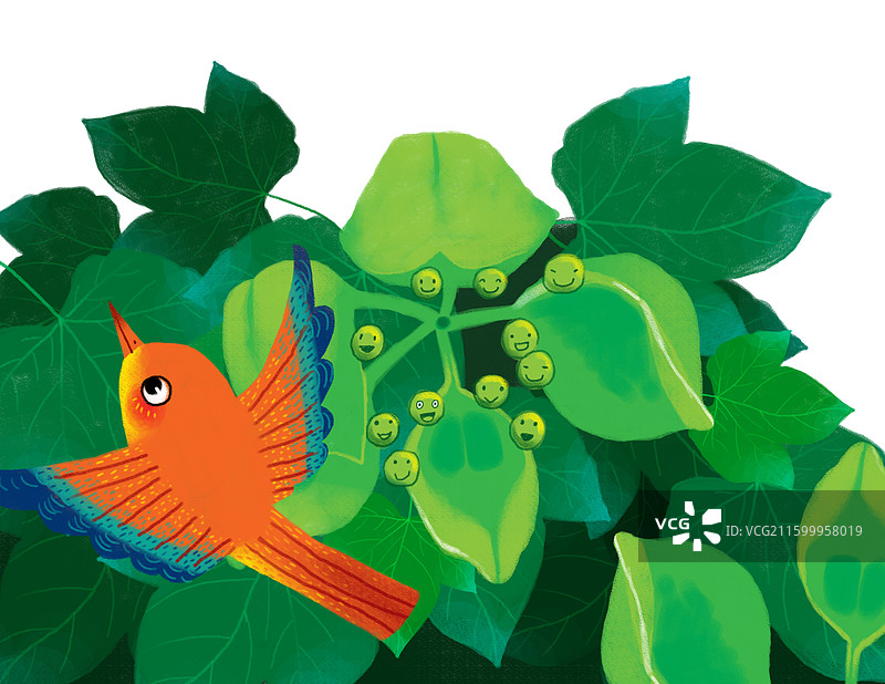 动物插画 儿童插画 鸟和梧桐子图片素材