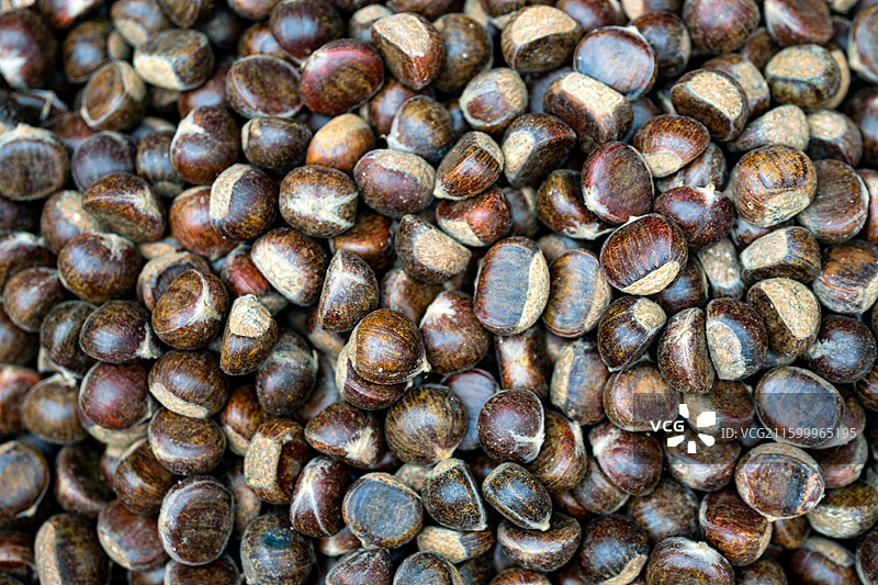 新鲜板栗特写图片素材