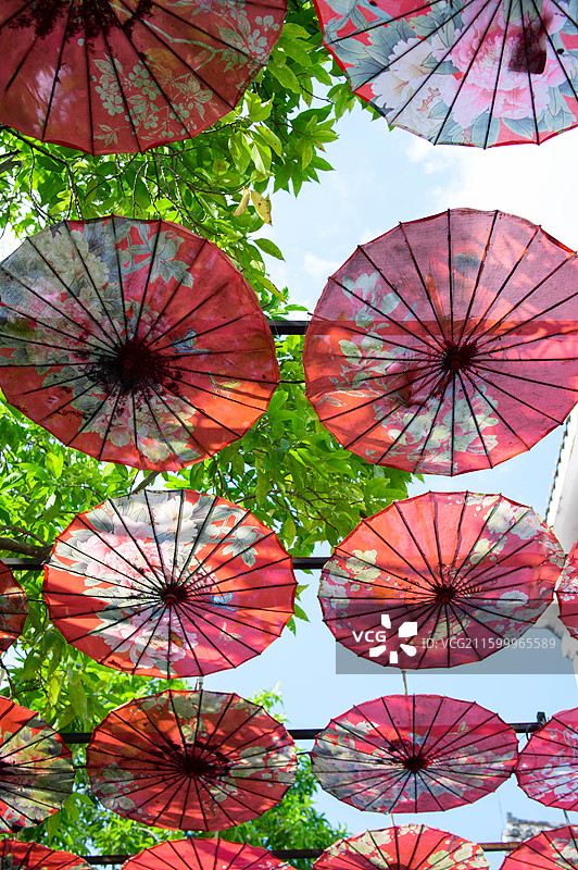 挂在树上的灯笼的低角度视图图片素材