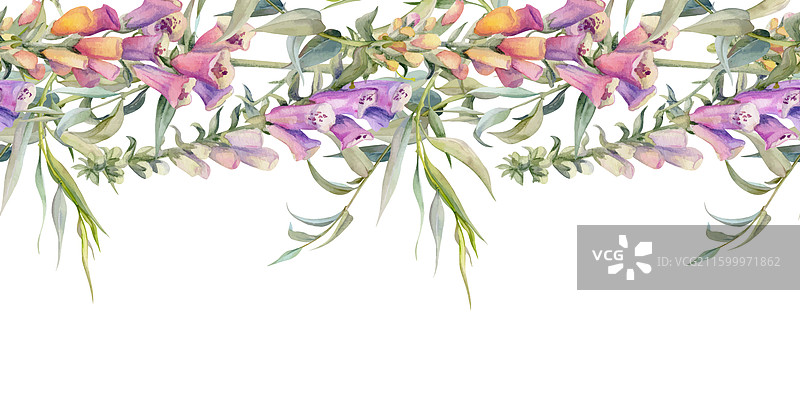 手绘水彩风格的颓废波西米亚风植物插画图片素材