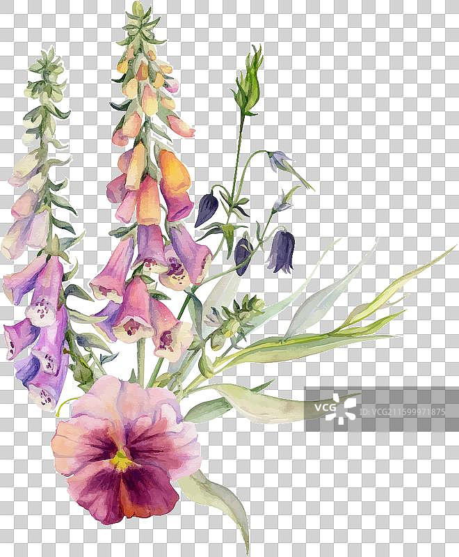 手绘水彩植物花卉叶子图片素材