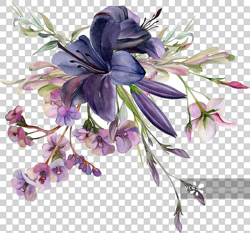 手绘水彩植物花卉叶子图片素材