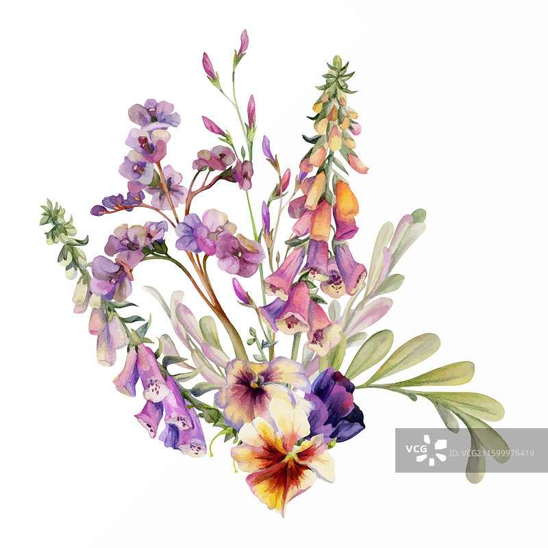 手绘水彩植物花卉叶子图片素材