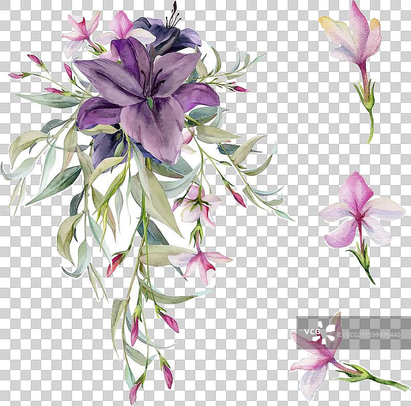 手绘水彩植物花卉叶子图片素材