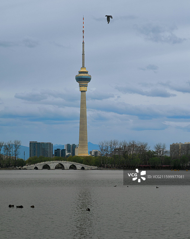 《塔影湖光禽鸟飞》图片素材