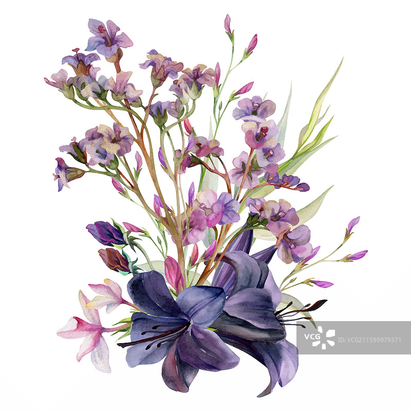 手绘水彩植物花卉叶子图片素材