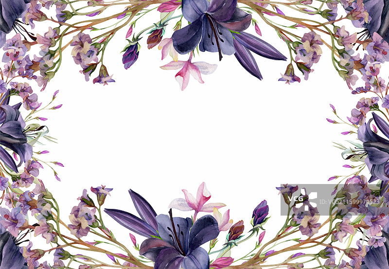 手绘水彩植物花卉叶子图片素材