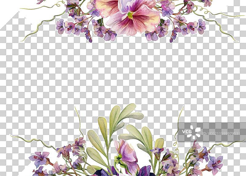 手绘水彩维多利亚时代植物花卉图片素材