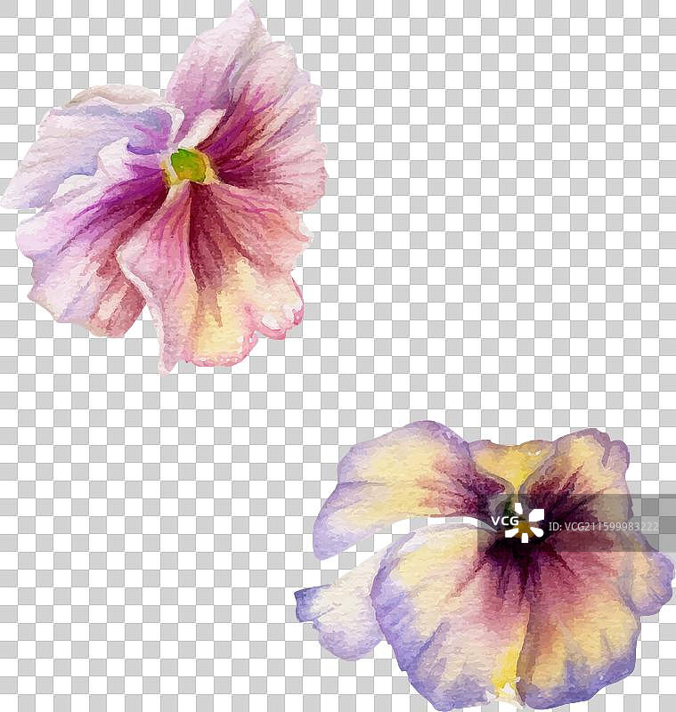 手绘水彩颓废波西米亚风植物插画图片素材