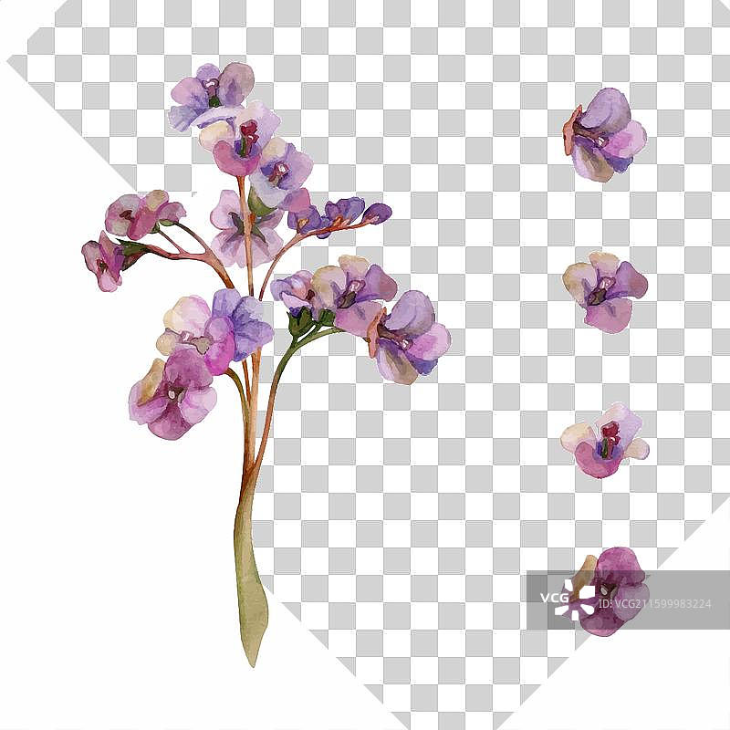 手绘水彩风格的颓废波西米亚风植物图片素材