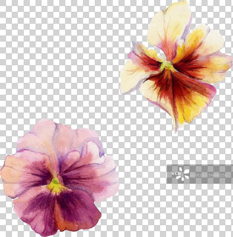 手绘水彩颓废波西米亚植物图片素材