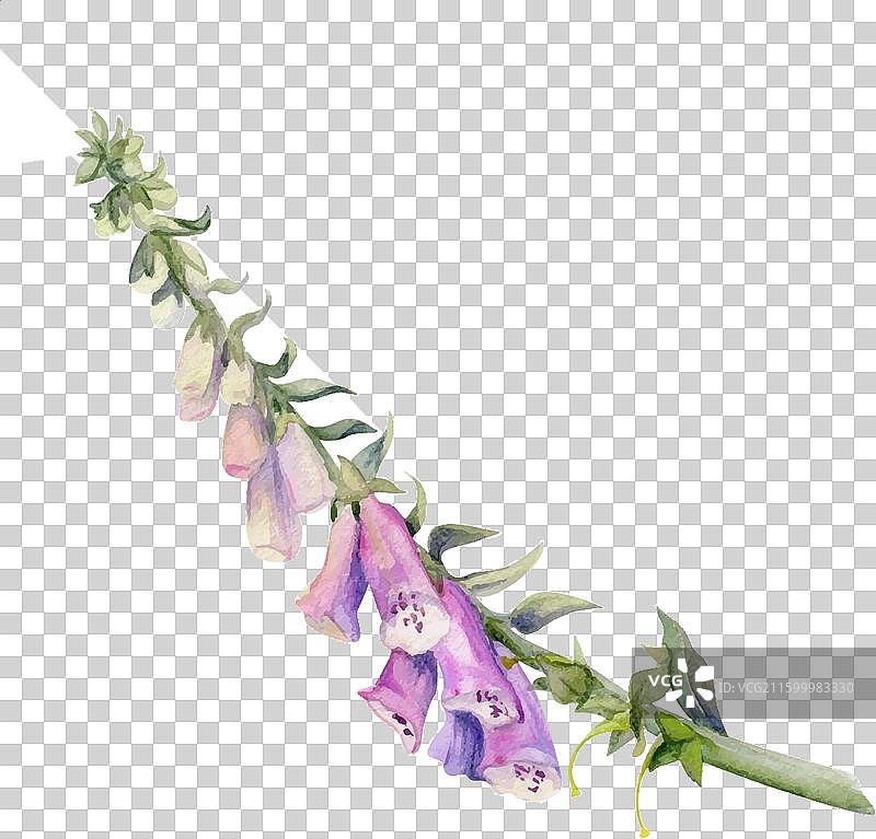 手绘水彩植物花叶图片素材