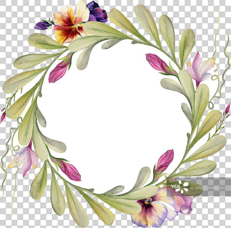 手绘水彩植物叶子 蝗虫图片素材