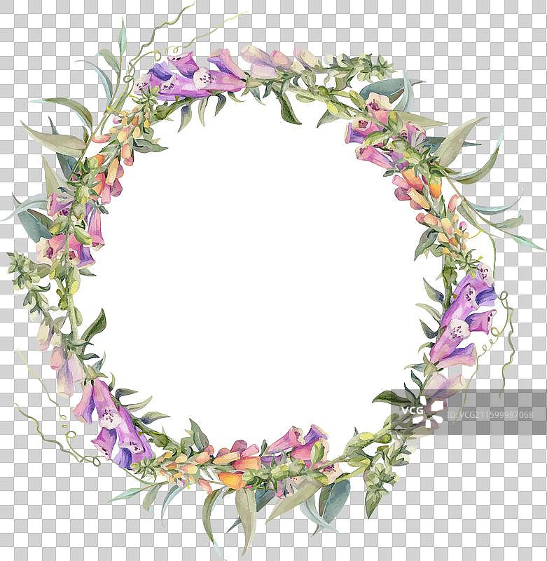 手绘水彩风格的颓废波西米亚风植物插画图片素材