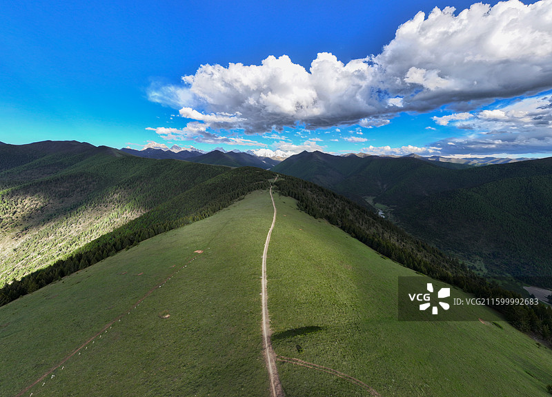 山顶草地上一条路通往雪山图片素材