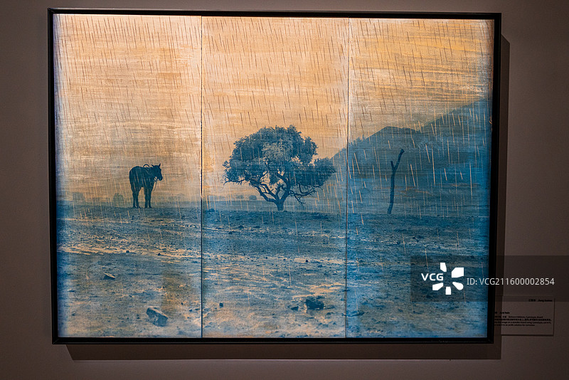 中华世纪坛-摄影展图片素材