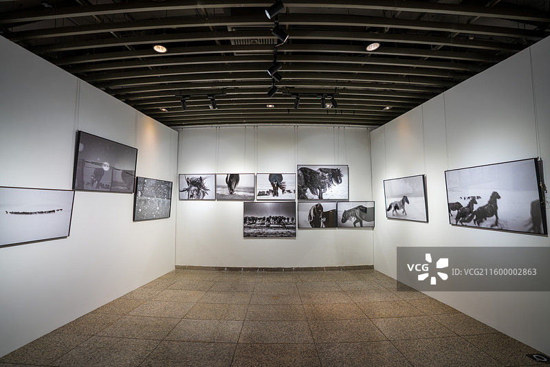 中华世纪坛-摄影展图片素材