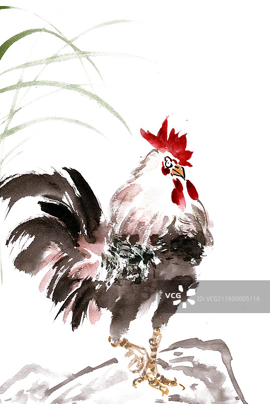 岩石上的公鸡图片素材