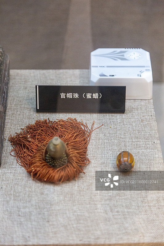 威海市文登博物馆图片素材