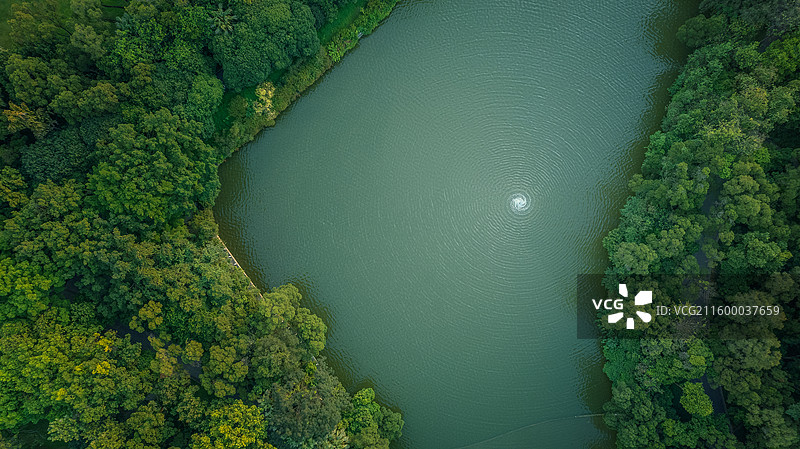 雀儿山公园的绿图片素材