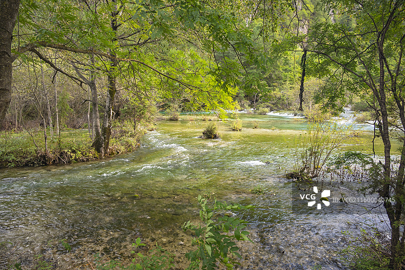 盆景滩图片素材