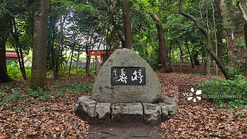 神户生田神社约建于 3 世纪，主祀稚日女尊，是恋爱与姻缘信仰中心，有金龙泉水占卜等特色。图片素材