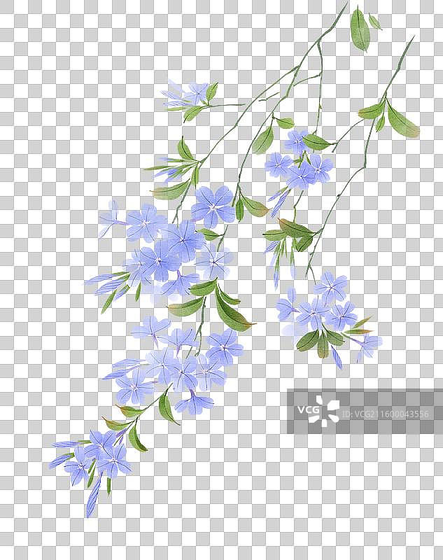 水彩花卉素材蓝雪花图片素材