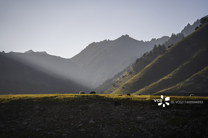冰沟河风光图片素材