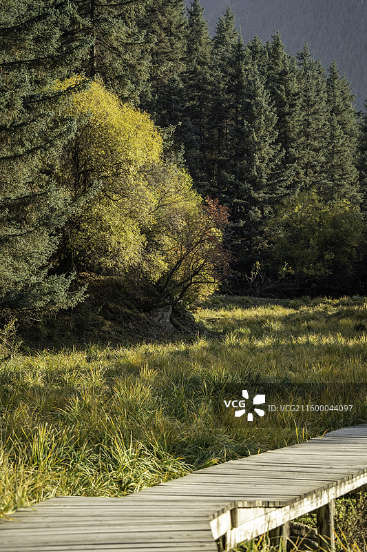 冰沟河风光图片素材