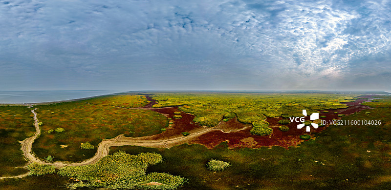 盘锦红滩的潮汐树、红壤纹理与自然织锦，尽展湿地地貌的艺术奇美。图片素材