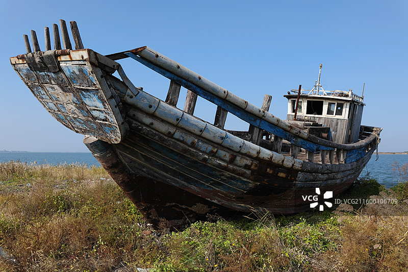 河北唐山乐亭灵珠码头附近破旧渔船与芦苇花图片素材