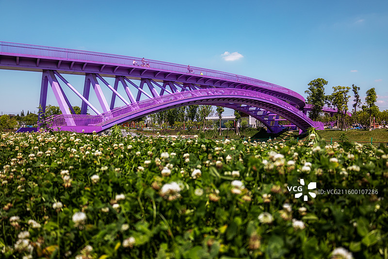 成都悦动彩林绕城公园的网红桥之约图片素材