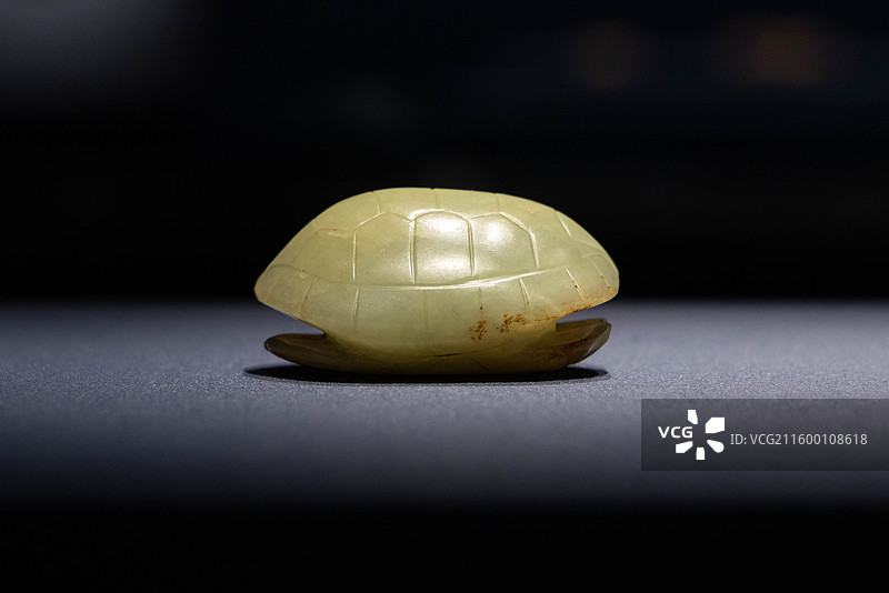山西太原山西博物院玉韫华夏展厅玉龟売 西周 山西省曲沃县北赵村晋侯墓地M63出土图片素材