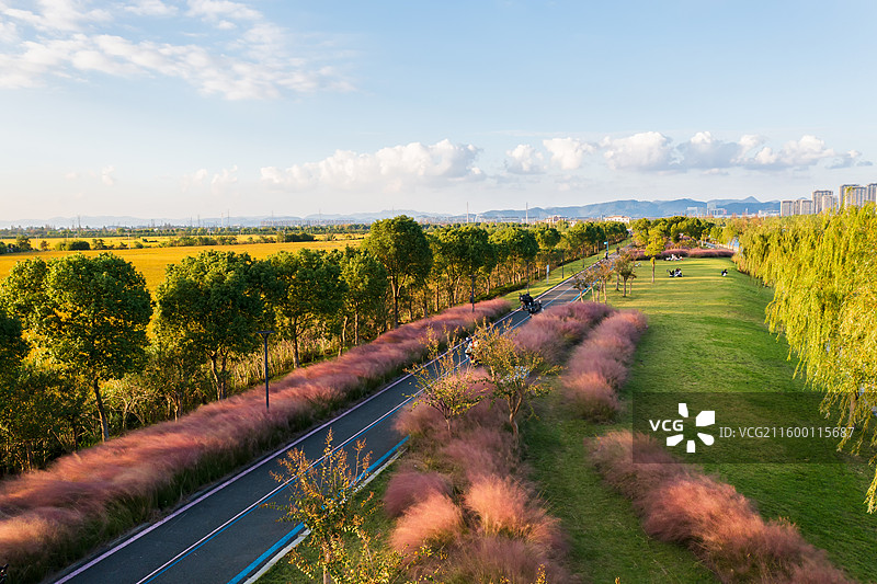 宁波市海曙区高桥镇大西坝村姚江游步道秋色图片素材