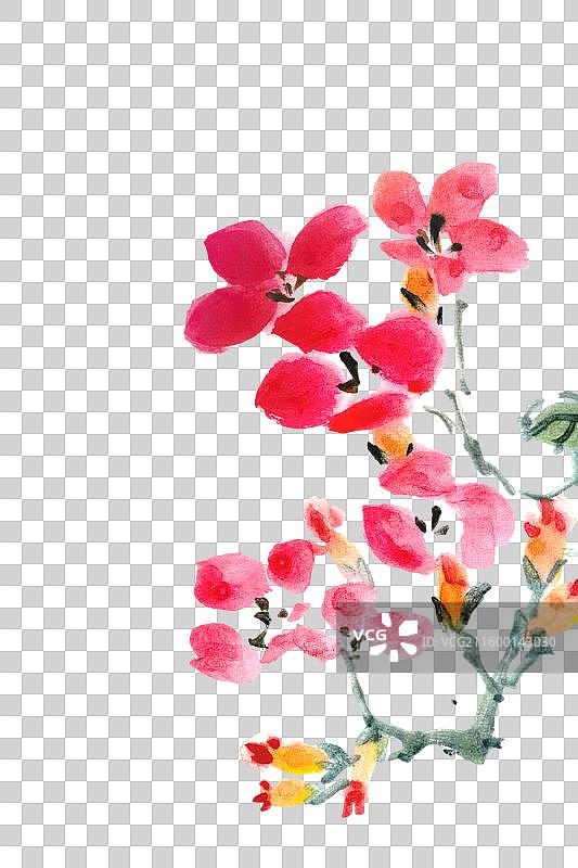 东方美学 高雅 禅意 手绘 国画 水墨 凌霄花图片素材