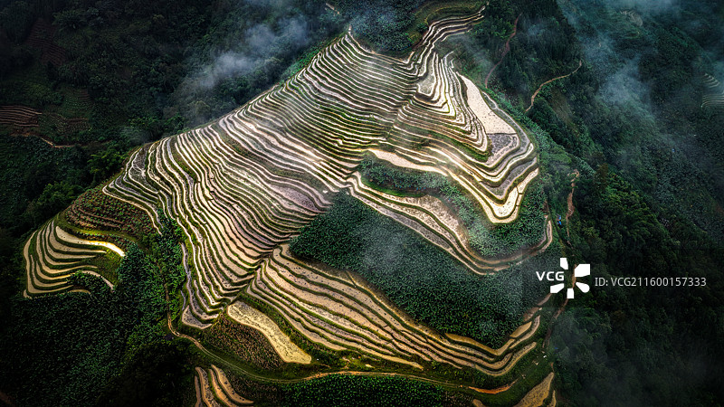 云南省绿春县托牛村梯田图片素材