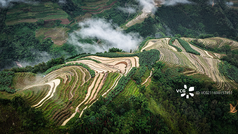 云南省绿春县托牛村梯田图片素材