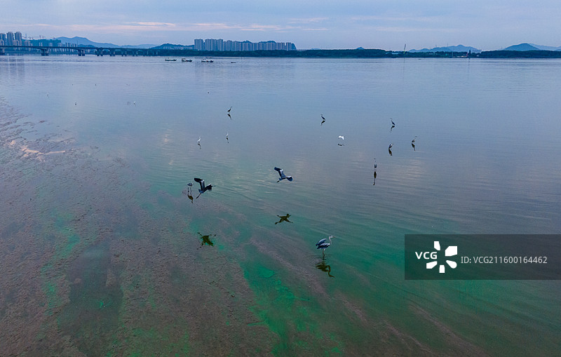 钱塘江全流域拍摄项目-杭州段-三江汇合处图片素材