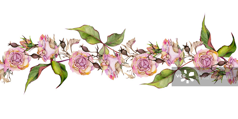 手绘水彩风格的颓废波西米亚植物插画图片素材