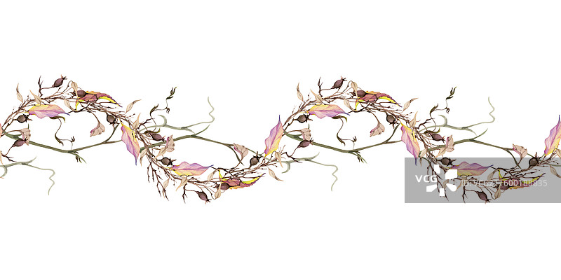 手绘水彩风颓废波西米亚植物图图片素材