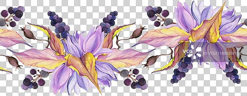 手绘水彩风格的颓废波西米亚风植物插画图片素材