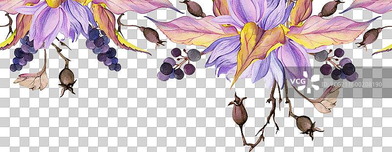 手绘水彩风格的颓废波西米亚风植物插画图片素材