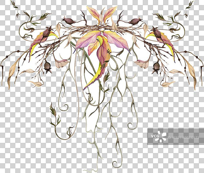 手绘水彩颓废波西米亚风植物插画图片素材