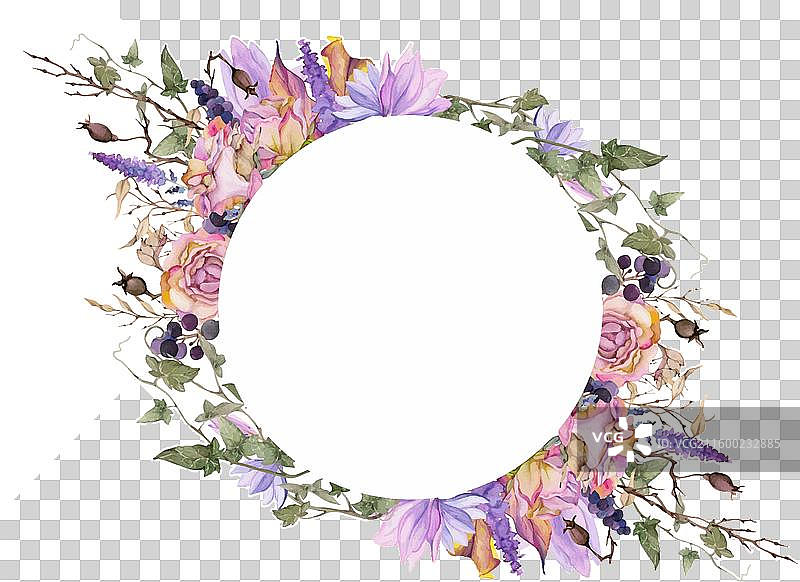 手绘水彩风格的颓废波西米亚风植物插画图片素材